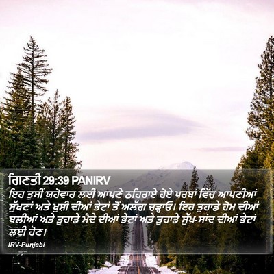 ਗਿਣਤੀ 29:39 PANIRV Bible Verse Image