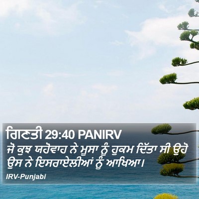 ਗਿਣਤੀ 29:40 PANIRV Bible Verse Image