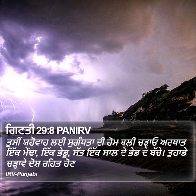 ਗਿਣਤੀ 29:8 PANIRV Bible Verse Image