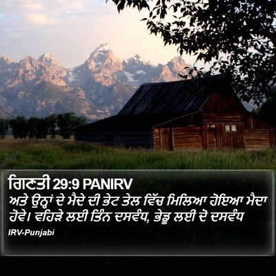 ਗਿਣਤੀ 29:9 PANIRV Bible Verse Image