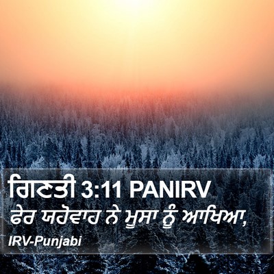 ਗਿਣਤੀ 3:11 PANIRV Bible Verse Image