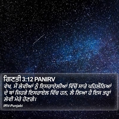ਗਿਣਤੀ 3:12 PANIRV Bible Verse Image