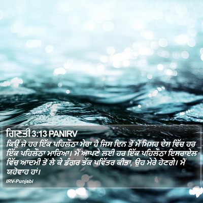 ਗਿਣਤੀ 3:13 PANIRV Bible Verse Image