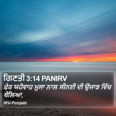 ਗਿਣਤੀ 3:14 PANIRV Bible Verse Image