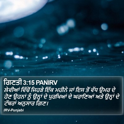 ਗਿਣਤੀ 3:15 PANIRV Bible Verse Image