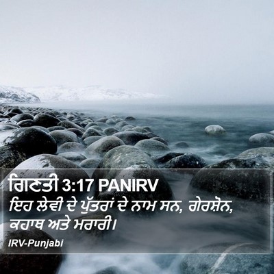 ਗਿਣਤੀ 3:17 PANIRV Bible Verse Image