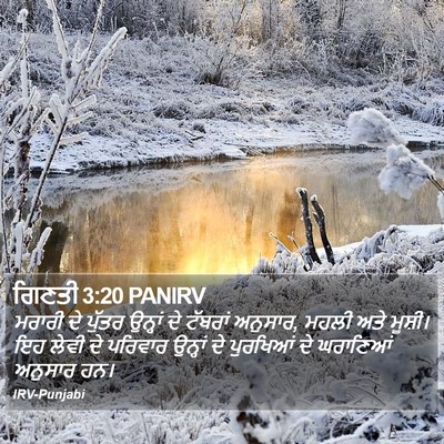 ਗਿਣਤੀ 3:20 PANIRV Bible Verse Image