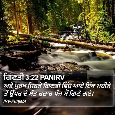 ਗਿਣਤੀ 3:22 PANIRV Bible Verse Image