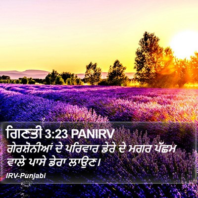 ਗਿਣਤੀ 3:23 PANIRV Bible Verse Image