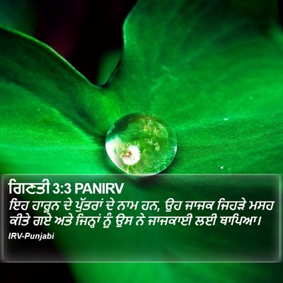 ਗਿਣਤੀ 3:3 PANIRV Bible Verse Image