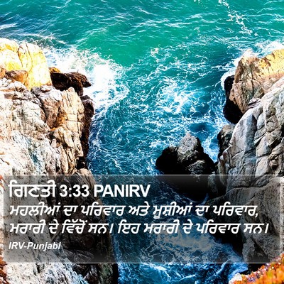 ਗਿਣਤੀ 3:33 PANIRV Bible Verse Image