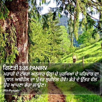 ਗਿਣਤੀ 3:35 PANIRV Bible Verse Image