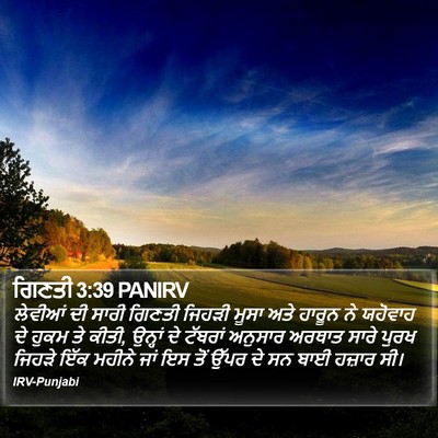 ਗਿਣਤੀ 3:39 PANIRV Bible Verse Image