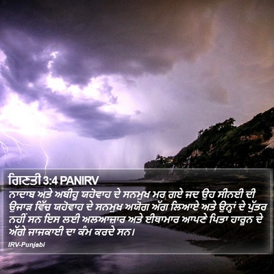ਗਿਣਤੀ 3:4 PANIRV Bible Verse Image