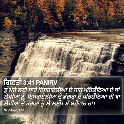 ਗਿਣਤੀ 3:41 PANIRV Bible Verse Image