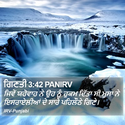 ਗਿਣਤੀ 3:42 PANIRV Bible Verse Image