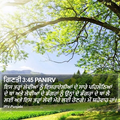 ਗਿਣਤੀ 3:45 PANIRV Bible Verse Image