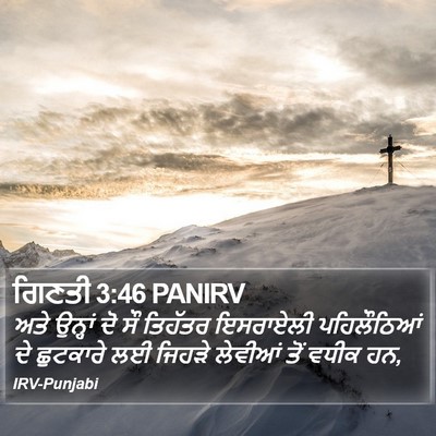 ਗਿਣਤੀ 3:46 PANIRV Bible Verse Image