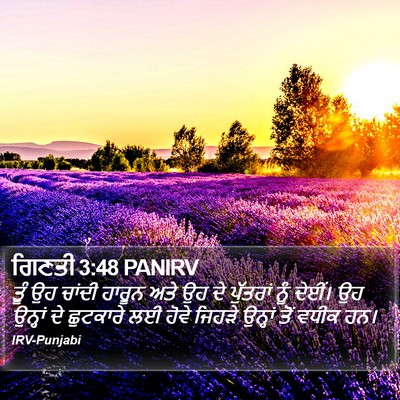 ਗਿਣਤੀ 3:48 PANIRV Bible Verse Image