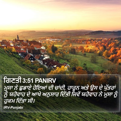ਗਿਣਤੀ 3:51 PANIRV Bible Verse Image