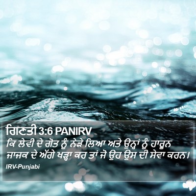 ਗਿਣਤੀ 3:6 PANIRV Bible Verse Image