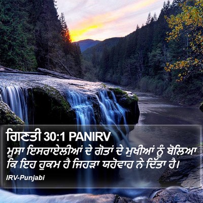 ਗਿਣਤੀ 30:1 PANIRV Bible Verse Image
