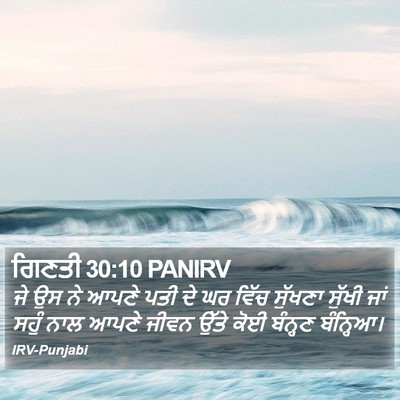 ਗਿਣਤੀ 30:10 PANIRV Bible Verse Image