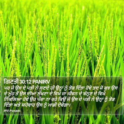 ਗਿਣਤੀ 30:12 PANIRV Bible Verse Image