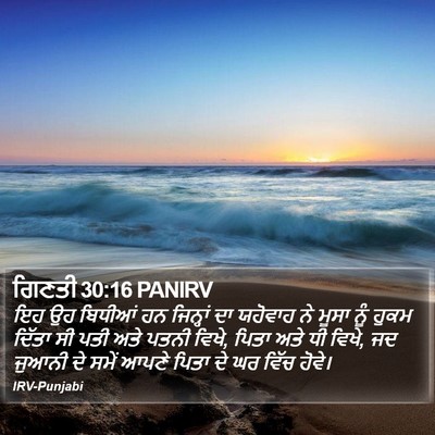 ਗਿਣਤੀ 30:16 PANIRV Bible Verse Image