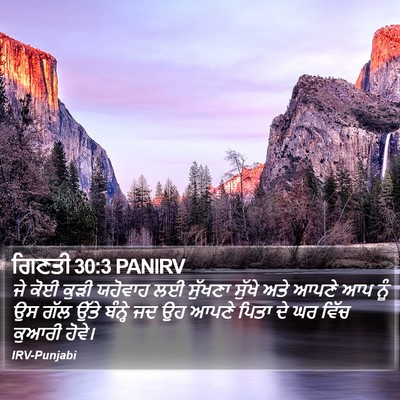 ਗਿਣਤੀ 30:3 PANIRV Bible Verse Image