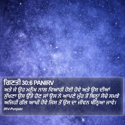 ਗਿਣਤੀ 30:6 PANIRV Bible Verse Image