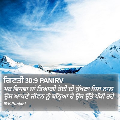 ਗਿਣਤੀ 30:9 PANIRV Bible Verse Image