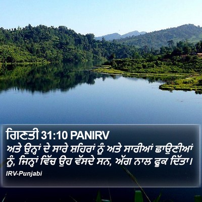 ਗਿਣਤੀ 31:10 PANIRV Bible Verse Image