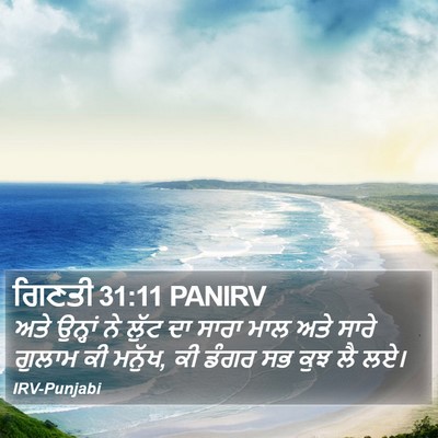 ਗਿਣਤੀ 31:11 PANIRV Bible Verse Image