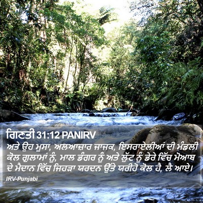 ਗਿਣਤੀ 31:12 PANIRV Bible Verse Image