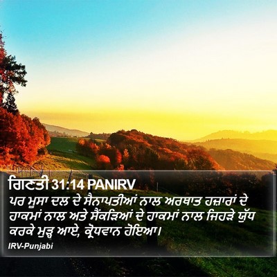 ਗਿਣਤੀ 31:14 PANIRV Bible Verse Image