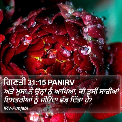 ਗਿਣਤੀ 31:15 PANIRV Bible Verse Image