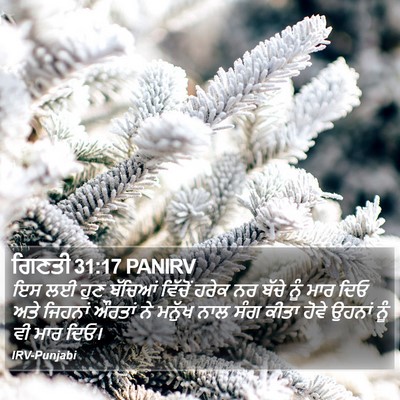 ਗਿਣਤੀ 31:17 PANIRV Bible Verse Image