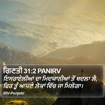 ਗਿਣਤੀ 31:2 PANIRV Bible Verse Image