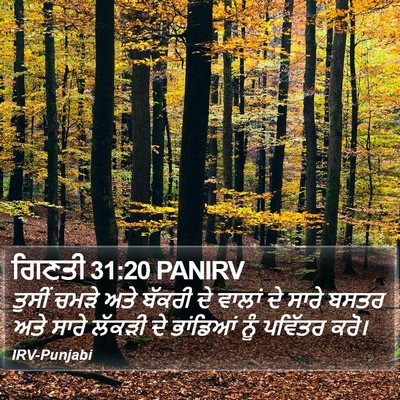 ਗਿਣਤੀ 31:20 PANIRV Bible Verse Image