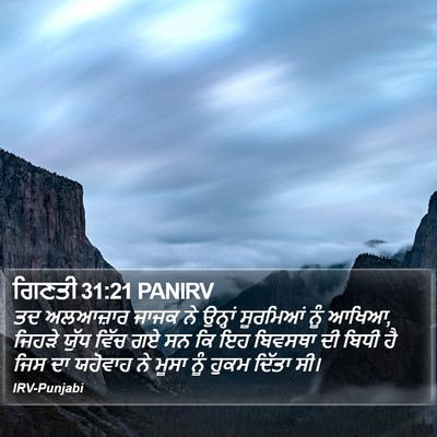 ਗਿਣਤੀ 31:21 PANIRV Bible Verse Image
