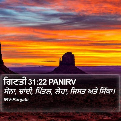 ਗਿਣਤੀ 31:22 PANIRV Bible Verse Image
