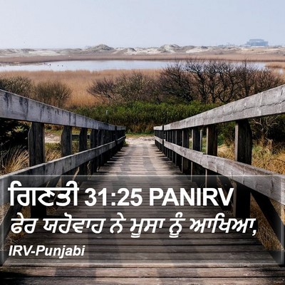 ਗਿਣਤੀ 31:25 PANIRV Bible Verse Image
