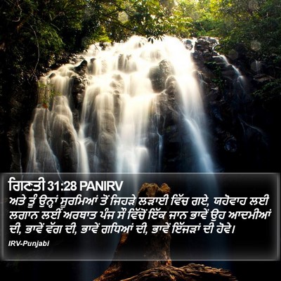 ਗਿਣਤੀ 31:28 PANIRV Bible Verse Image