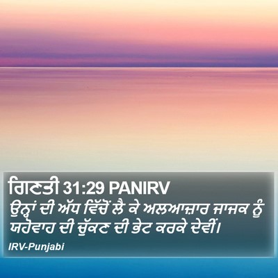 ਗਿਣਤੀ 31:29 PANIRV Bible Verse Image