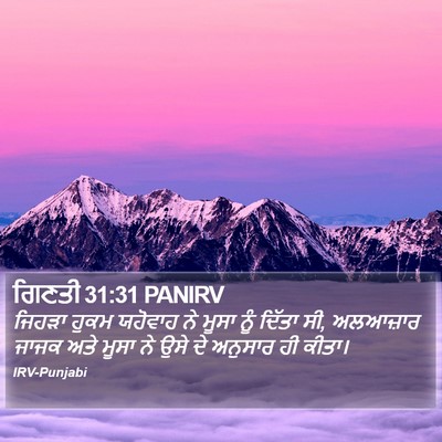 ਗਿਣਤੀ 31:31 PANIRV Bible Verse Image