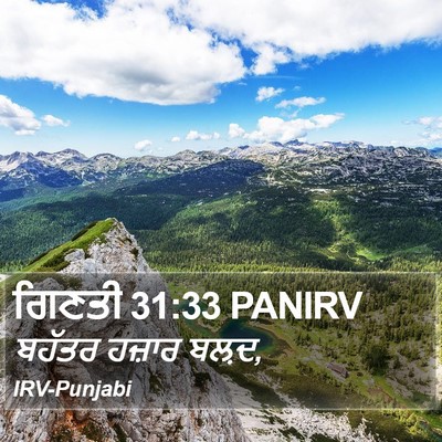 ਗਿਣਤੀ 31:33 PANIRV Bible Verse Image