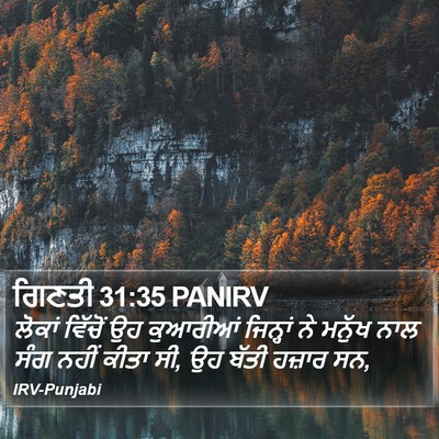 ਗਿਣਤੀ 31:35 PANIRV Bible Verse Image