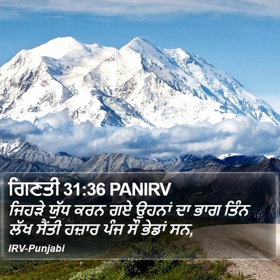ਗਿਣਤੀ 31:36 PANIRV Bible Verse Image