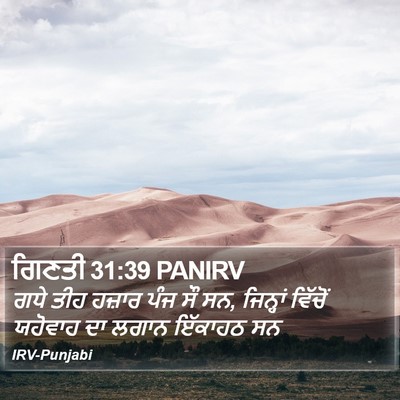 ਗਿਣਤੀ 31:39 PANIRV Bible Verse Image